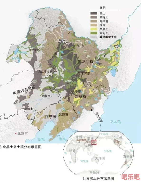 黑土的怀孕训练游戏：探讨农业生态系统中土壤健康与作物生长之间的关系及其对可持续发展的影响